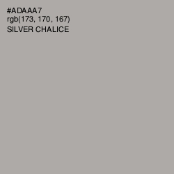 #ADAAA7 - Silver Chalice Color Image